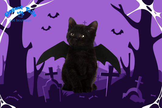 ElegantTails™ Halloween Bat Wings Costume for Dogs and Cats