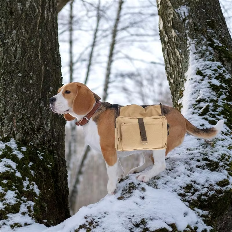 ElegantTails™ Dog Travel Backpack