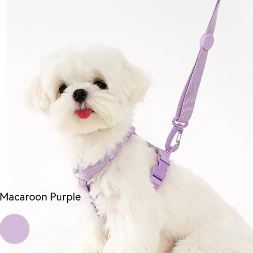 ElegantTails™ Pet Supplies Set: Harness, Collar, Leash & More