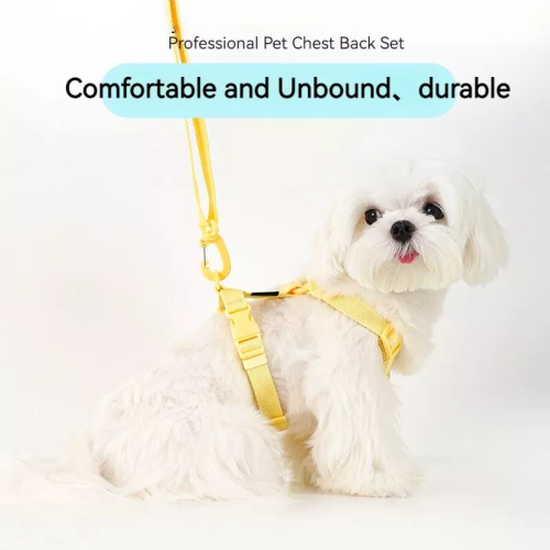 ElegantTails™ Pet Supplies Set: Harness, Collar, Leash & More