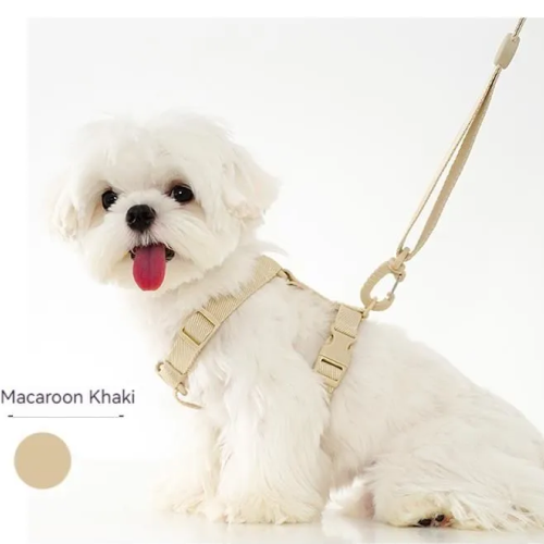 ElegantTails™ Pet Supplies Set: Harness, Collar, Leash & More