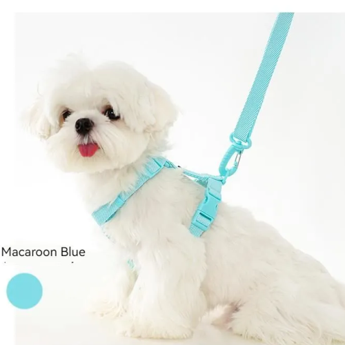 ElegantTails™ Pet Supplies Set: Harness, Collar, Leash & More